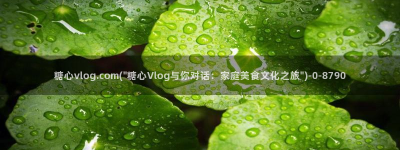 糖心破vlog解版