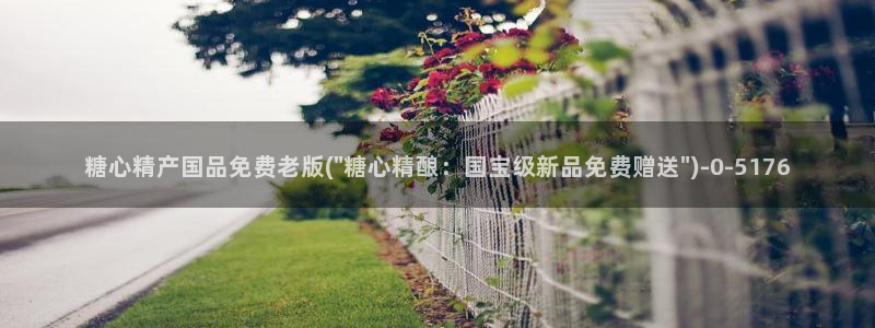 心糖vlog