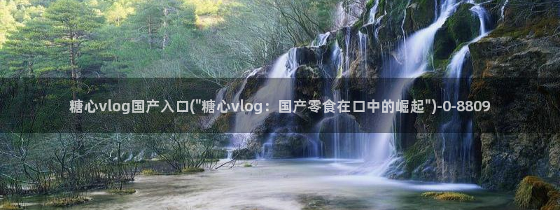 糖心vlog入口