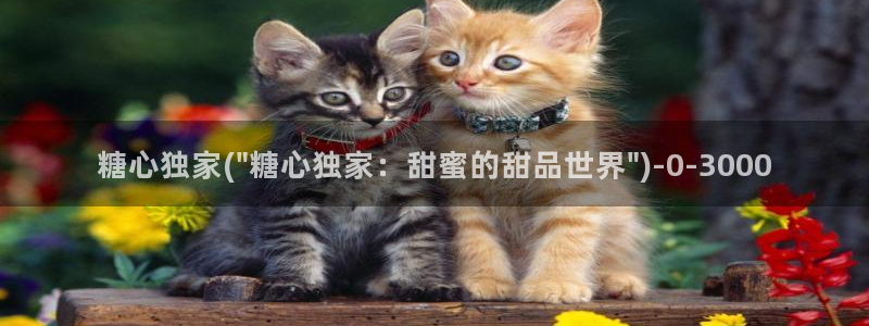 糖心vlog在线网址
