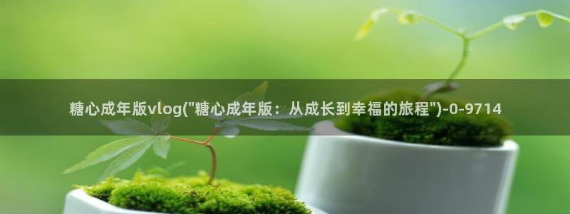 糖心vlog免费下载