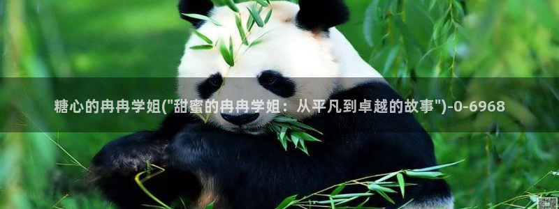 txvlogcom糖心出品