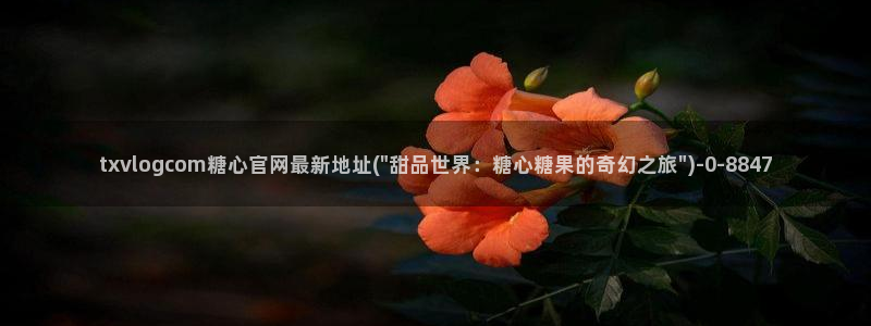 糖心vlog在线观看入口