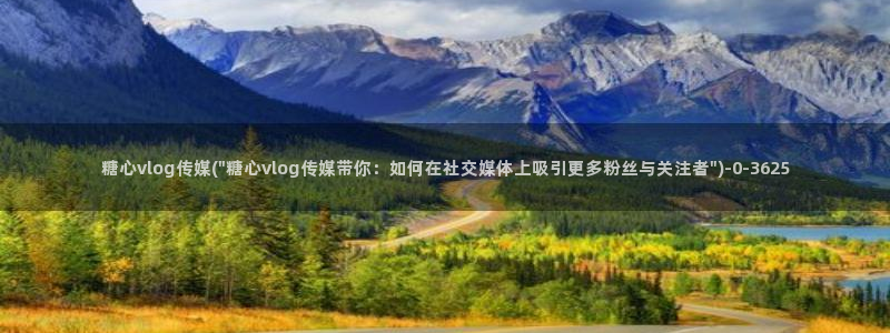 糖心vlog艺人