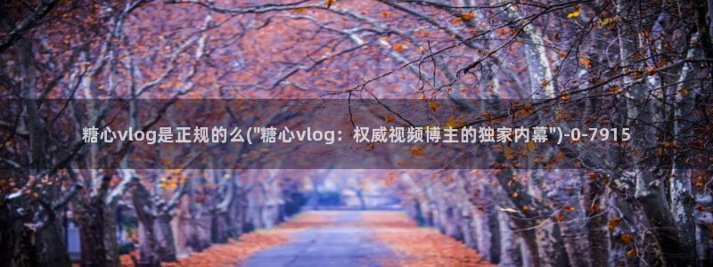 糖心vlog入