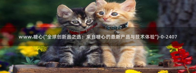 心糖vlog完整版免费观看：www.糖心(\
