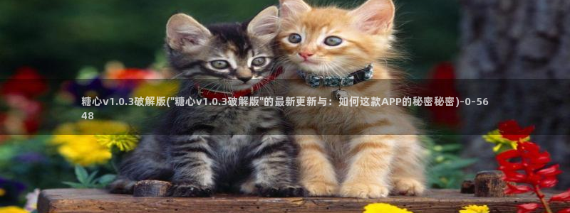 糖心少女vlog孤独的生日