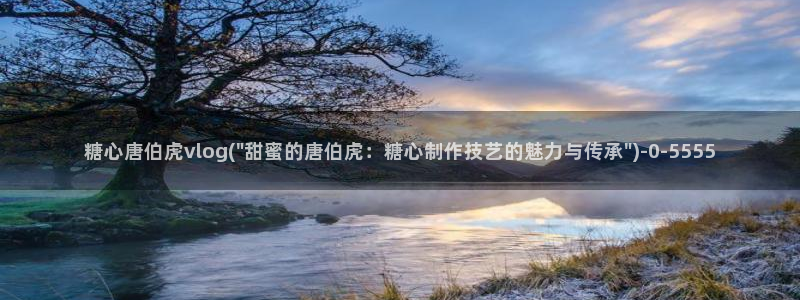 心糖vlog记录