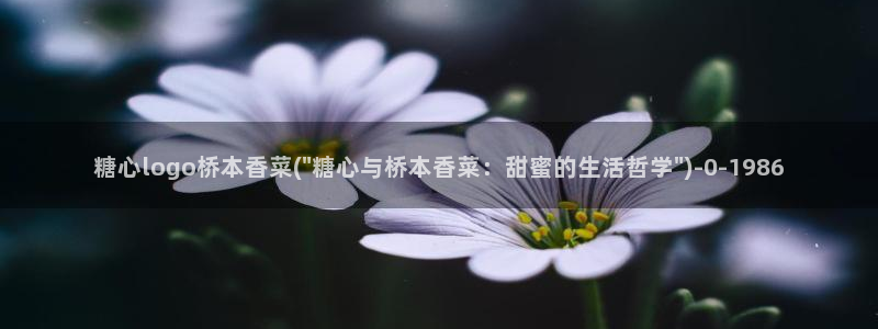 糖vlog免费