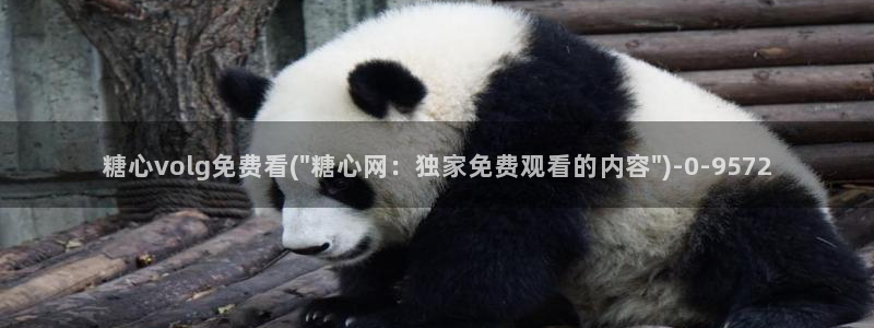 糖心vlog官方版