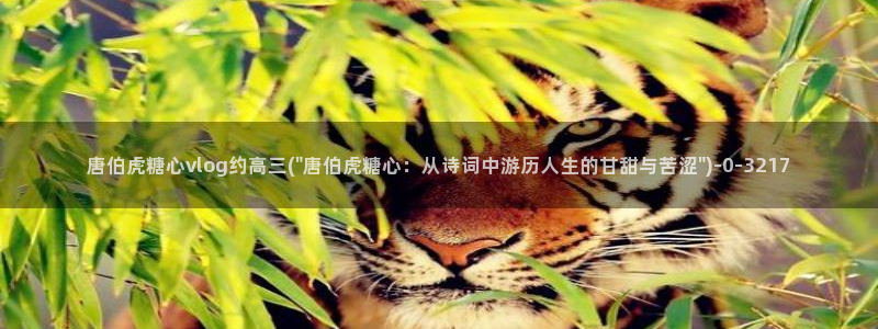 国产糖心vlog传媒nana